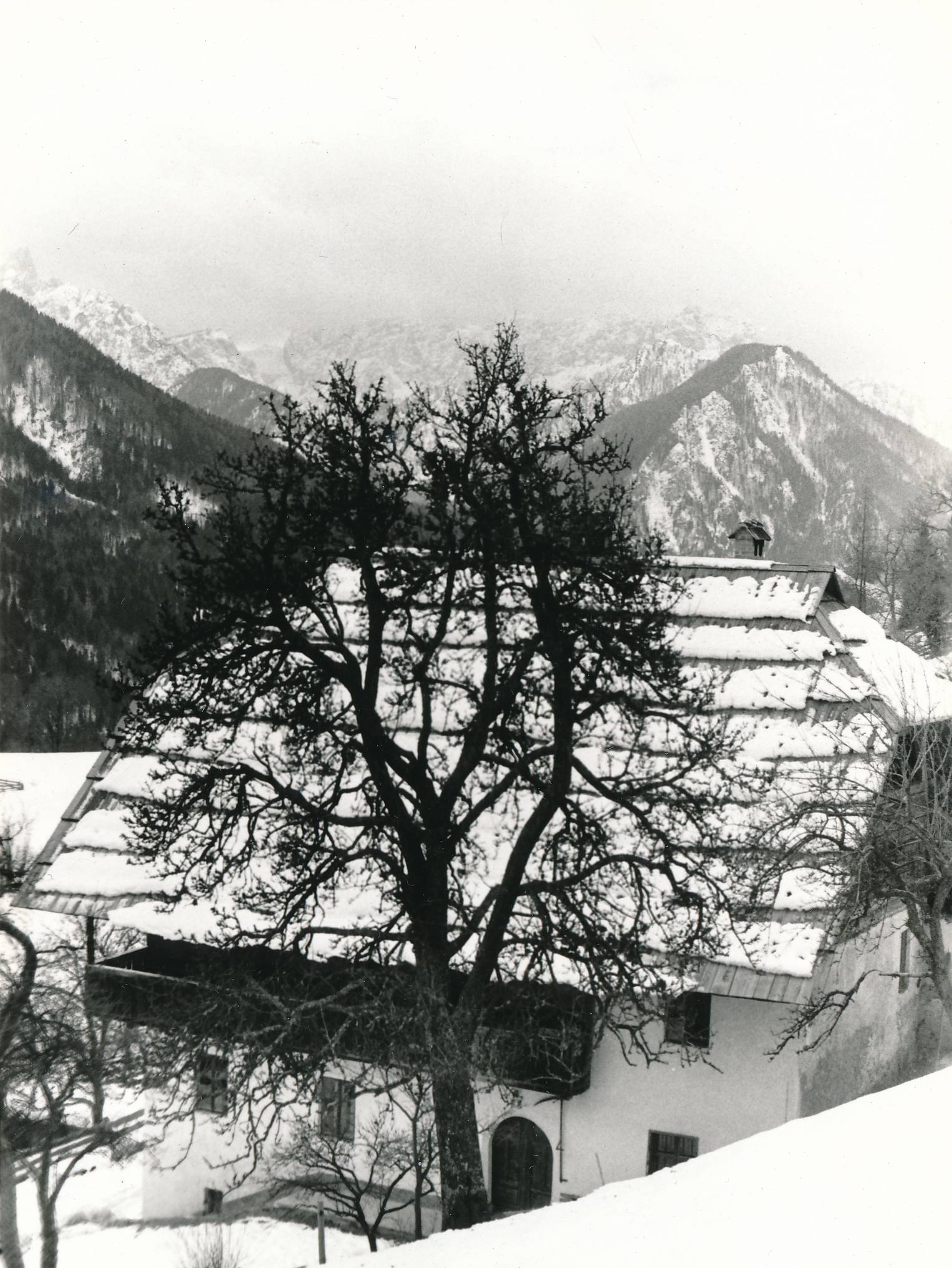 eika image